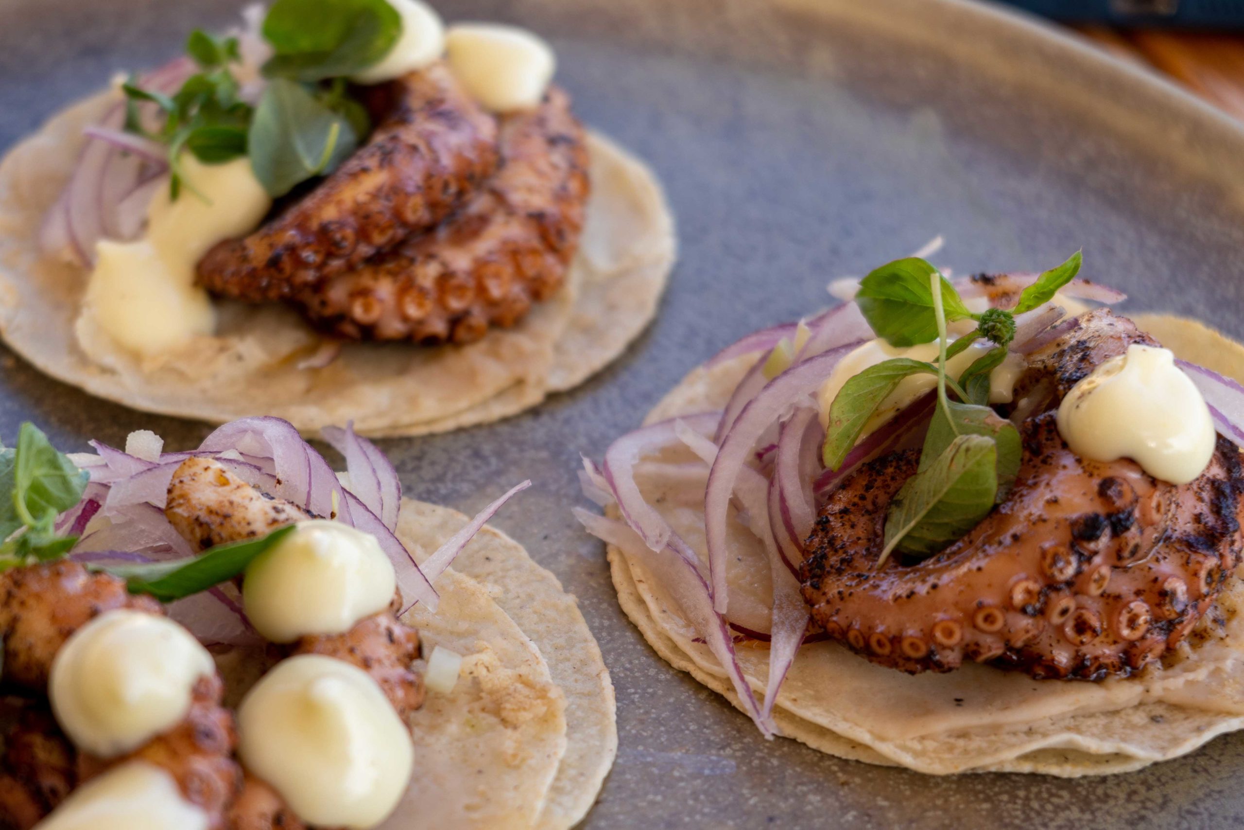 Upscale octopus tacos in Oaxaca, Mexico